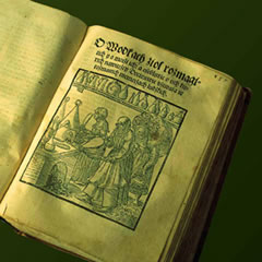 �X�u���b�J�̗��j